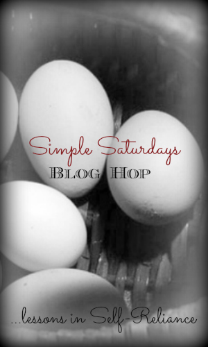 simple saturdays blog hop