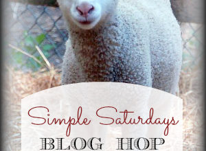 Simple Saturdays Blog Hop
