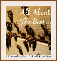 all about the bees