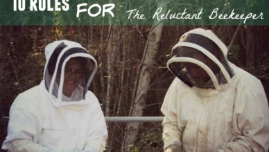 10 Rules For The Reluctant Beekeeper