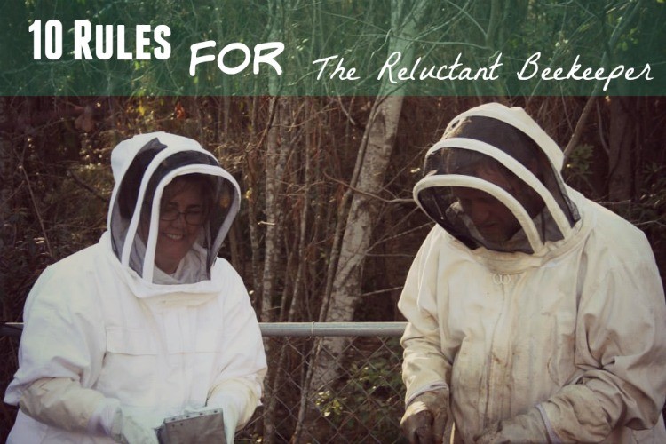 10 Rules For The Reluctant Beekeeper