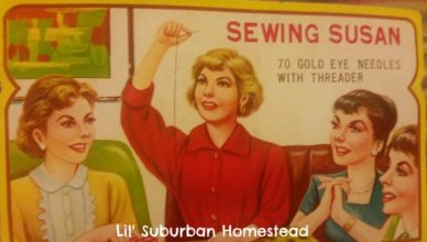 sewing susan needles