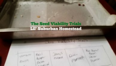 the seed viability test