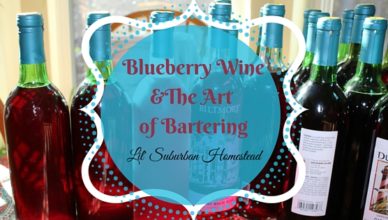 lil suburban homestead blueberry wine and the art of bartering