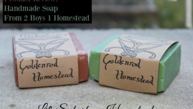 soap review 2 boys 1 homestead
