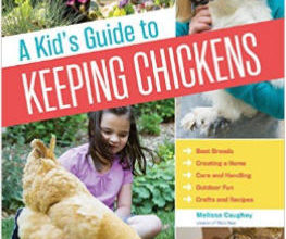 A Kid's Guide To Keeping Chickens