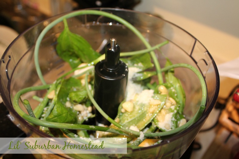 basil and garlic scapes in food processor