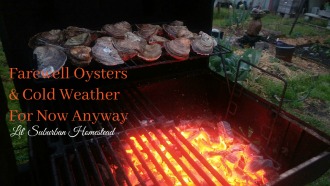 Roasted oysters