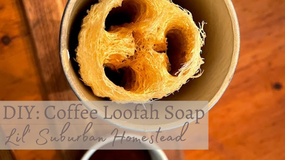diy coffee loofah soap