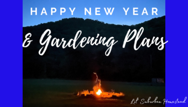 happy new year and gardening plans